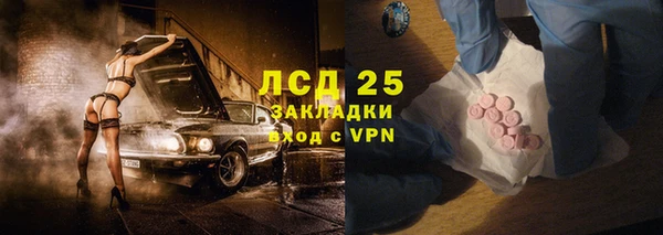 PSILOCYBIN Богородск