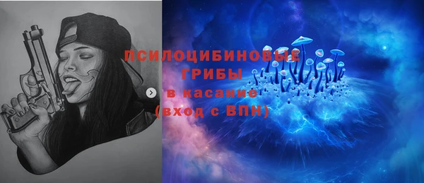 мет Сясьстрой