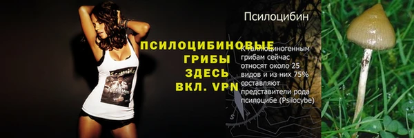 хмурый Сосновоборск