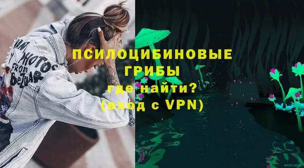 гашик Белокуриха