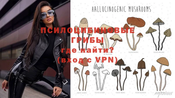 PSILOCYBIN Богородск